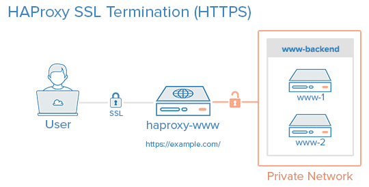 SSL termination mode
